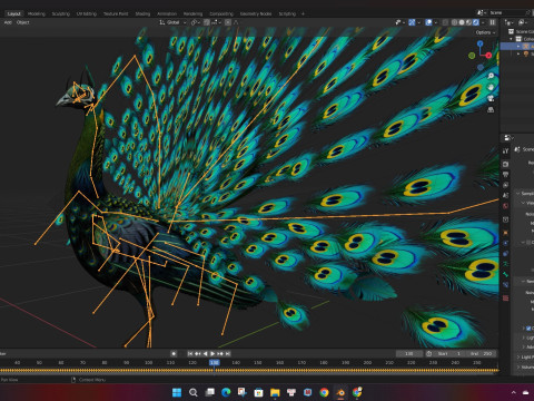 Peacock Black-A3 Modelo 3D