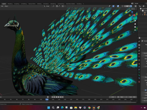Peacock Black-A3 Modelo 3D