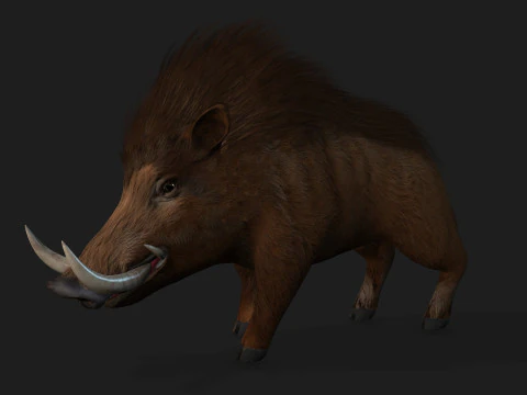 Boar-A1 3D Model