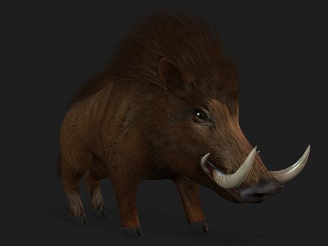 Boar-A1 3D Model