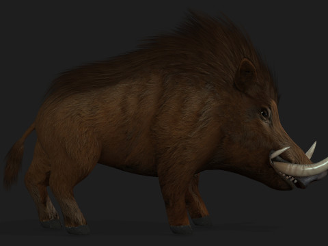 Boar-A1 3D Model