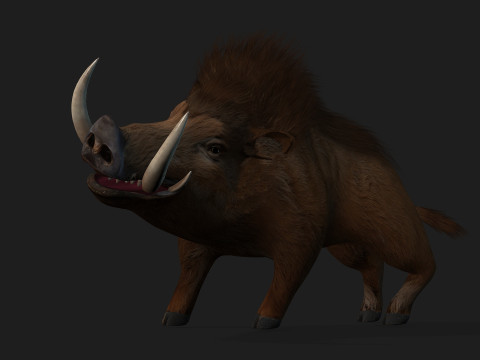 Boar-A1 3D Model