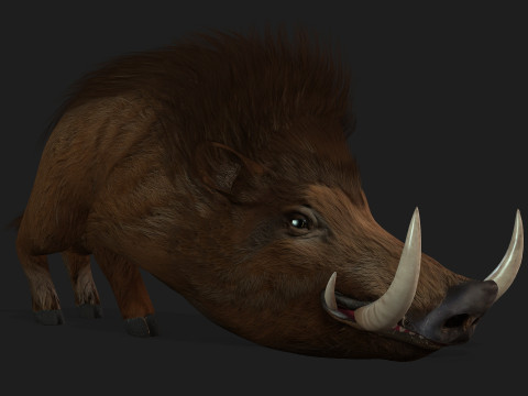 Boar-A1 3D Model