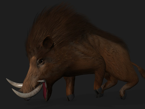 Boar-A1 3D Model