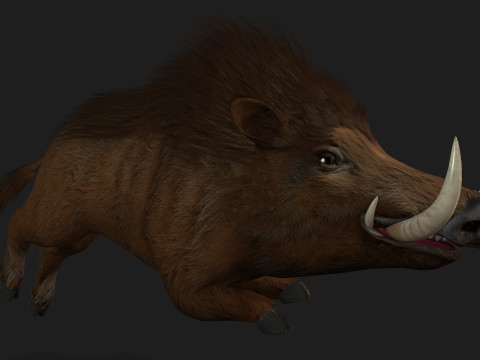Boar-A1 3D Model