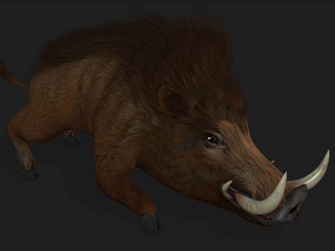 Boar-A1 3D Model
