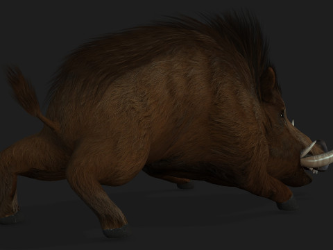 Boar-A1 3D Model