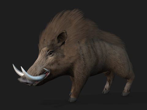 Boar-A2 3D मॉडल