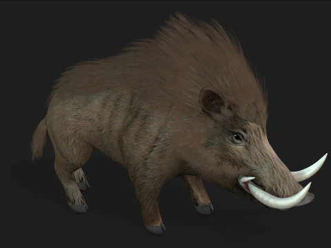 Boar-A2 3D Model