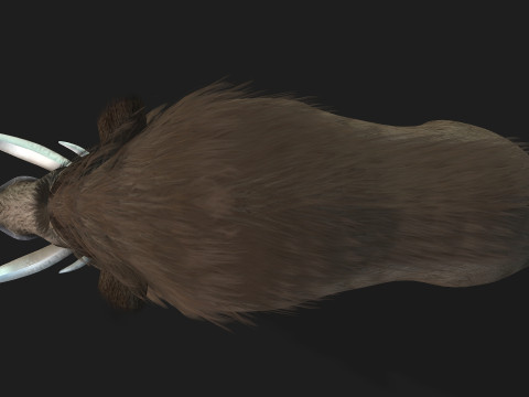 Boar-A2 3D मॉडल