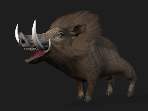 Boar-A2 3D मॉडल
