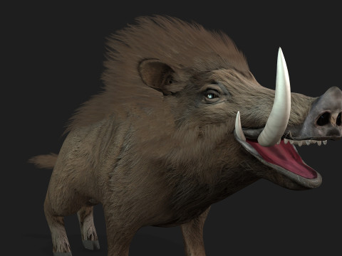 Boar-A2 3D मॉडल