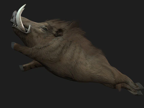 Boar-A2 3D Model