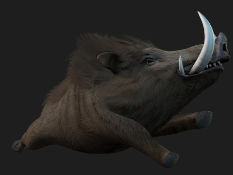 Boar-A2 3D Model
