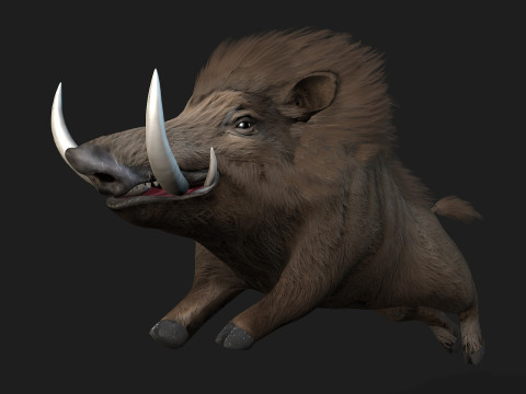 Boar-A2 3D मॉडल