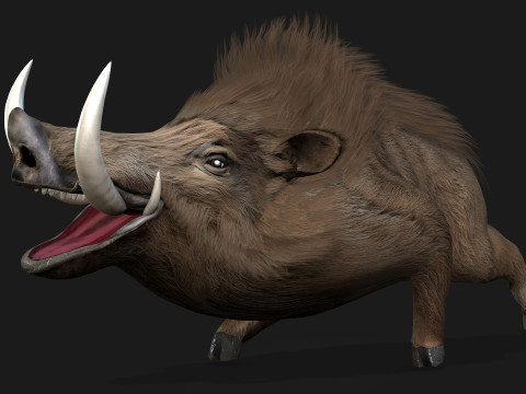 Boar-A2 3D मॉडल