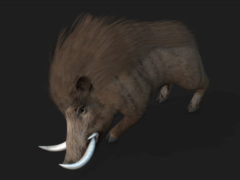 Boar-A2 3D मॉडल