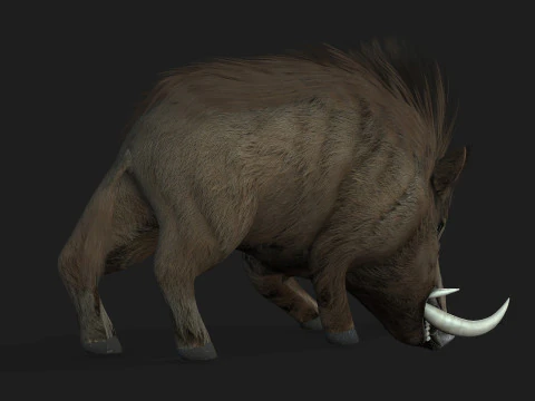 Boar-A2 3D Model