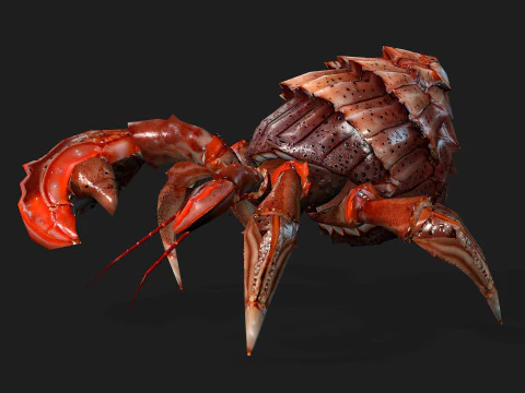 Crab-B1 3D Model