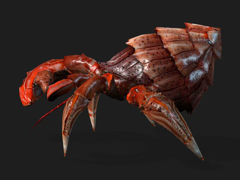 Crab-B1 3D Model