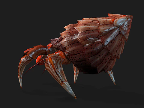 Crab-B1 3D Model