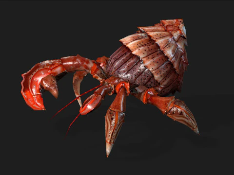 Crab-B1 3D Model