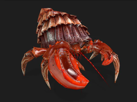 Crab-B1 3D Model