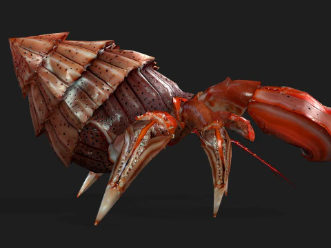 Crab-B1 3D Model