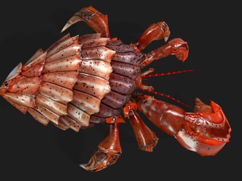 Crab-B1 3D Model