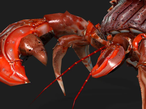 Crab-B1 3D Model
