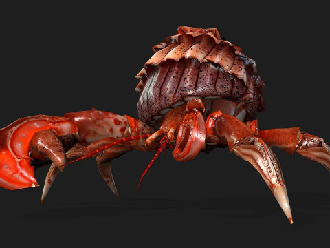 Crab-B1 3D Model