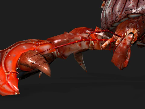 Crab-B1 3D Model