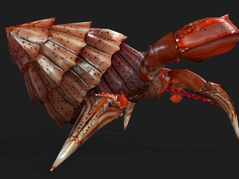 Crab-B1 3D Model