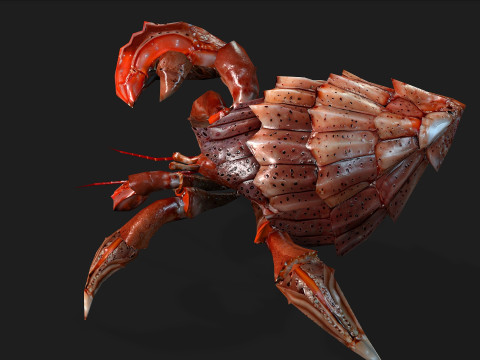 Crab-B1 3D Model