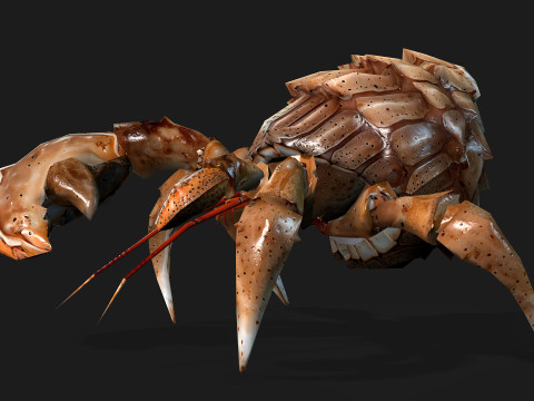 Crab-B2 3D Model
