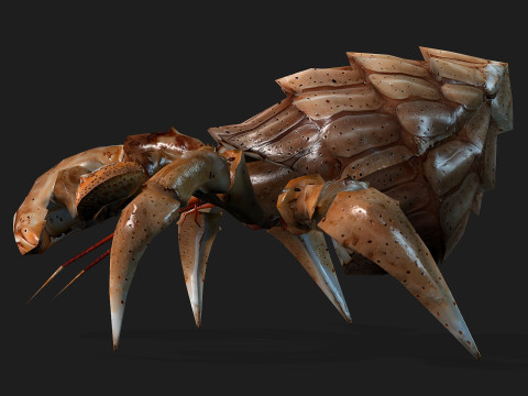 Crab-B2 3D Model