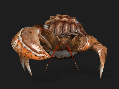 Crab-B2 3D Model