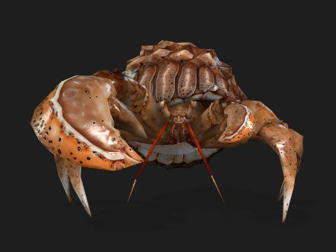 Kepiting-B2 Model 3D