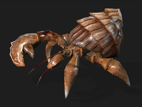 Crab-B2 3D Model