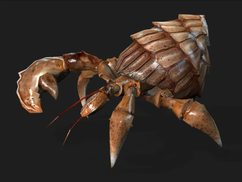 Kepiting-B2 Model 3D