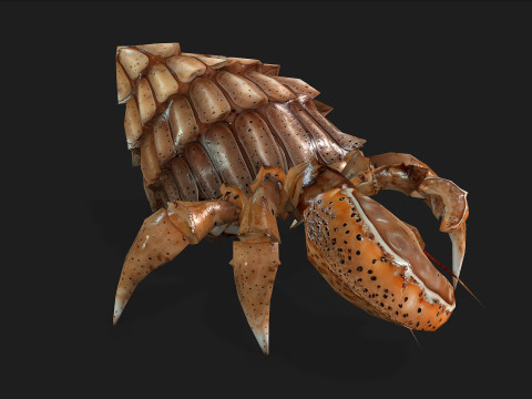 Crab-B2 3D Model