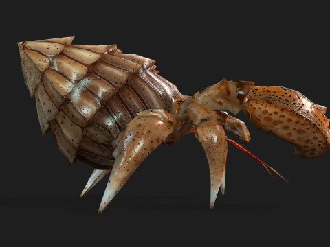 Crab-B2 3D Model