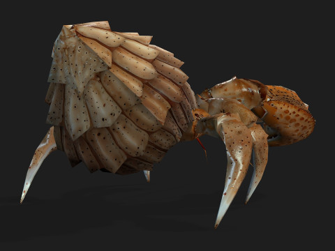 Crab-B2 3D Model