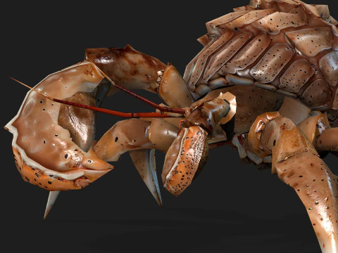 Kepiting-B2 Model 3D