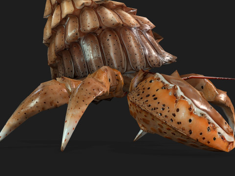 Crab-B2 3D Model