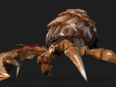 Crab-B2 3D Model