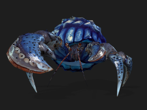 Crab-B3 3D Modell