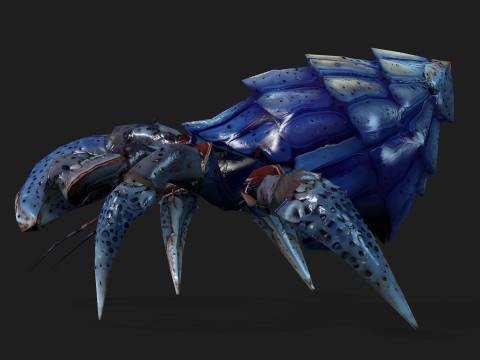 Crab-B3 3D Modell