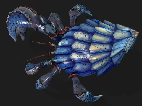Crab-B3 3D Modell
