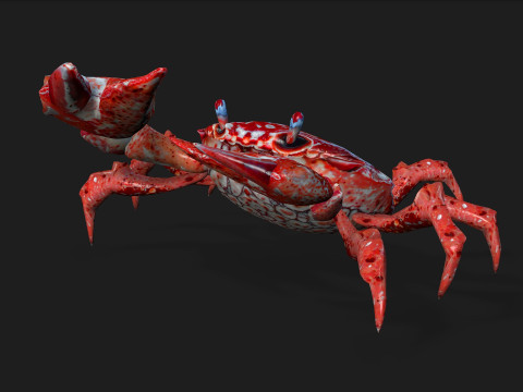 Crab-C1 3D Модель